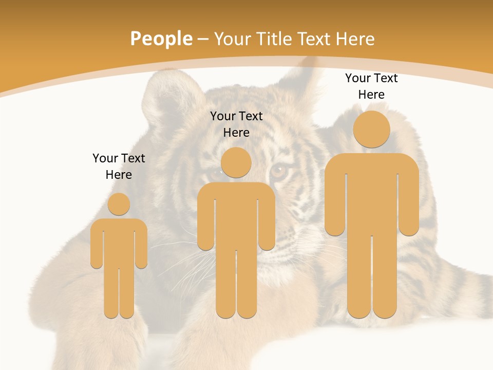 Sad Studio Asleep PowerPoint Template