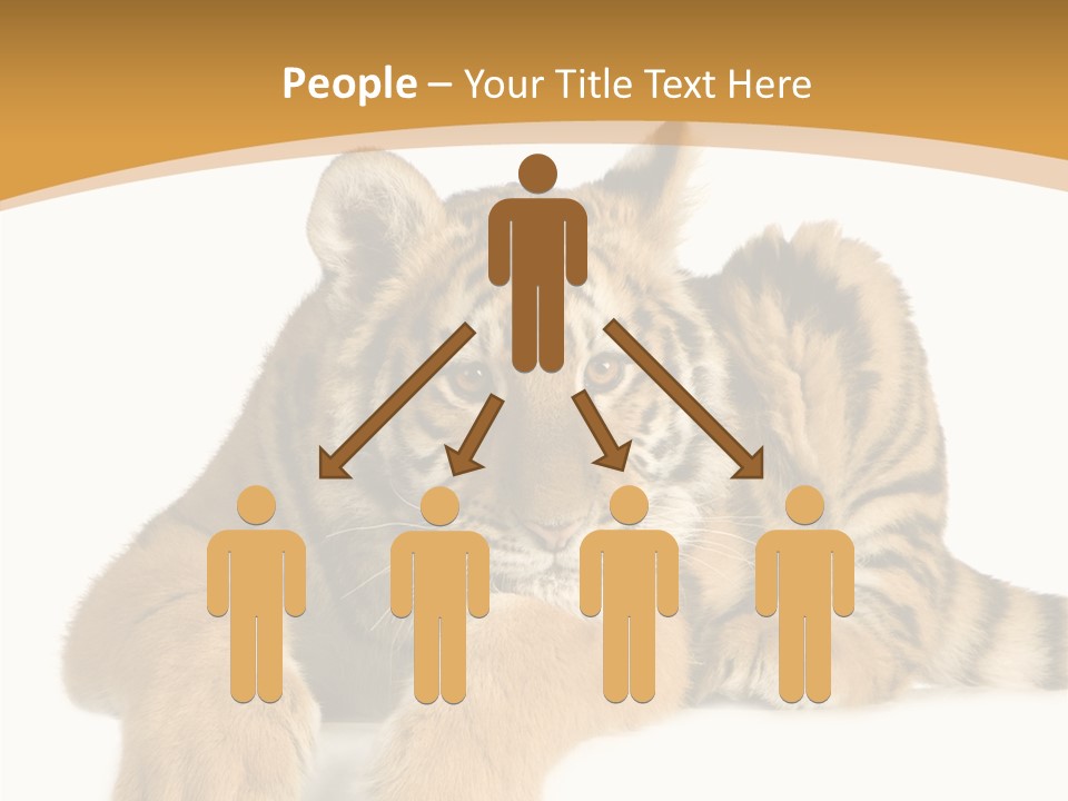 Sad Studio Asleep PowerPoint Template