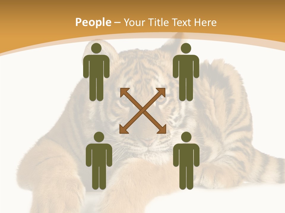 Sad Studio Asleep PowerPoint Template