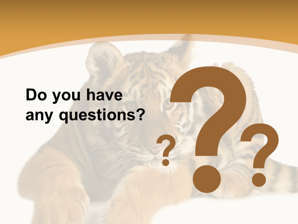 Sad Studio Asleep PowerPoint Template