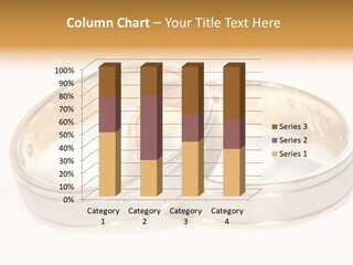 Love Wife Token PowerPoint Template