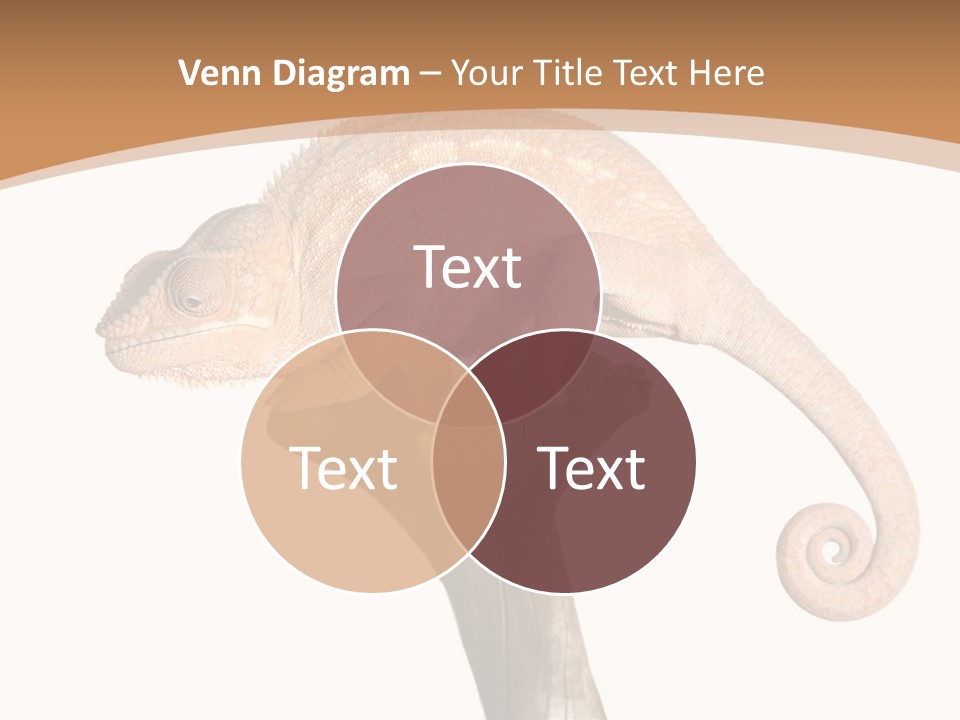 Musical Black Player PowerPoint Template