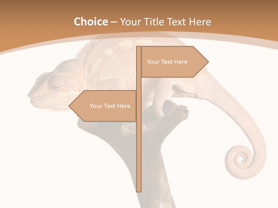 Musical Black Player PowerPoint Template