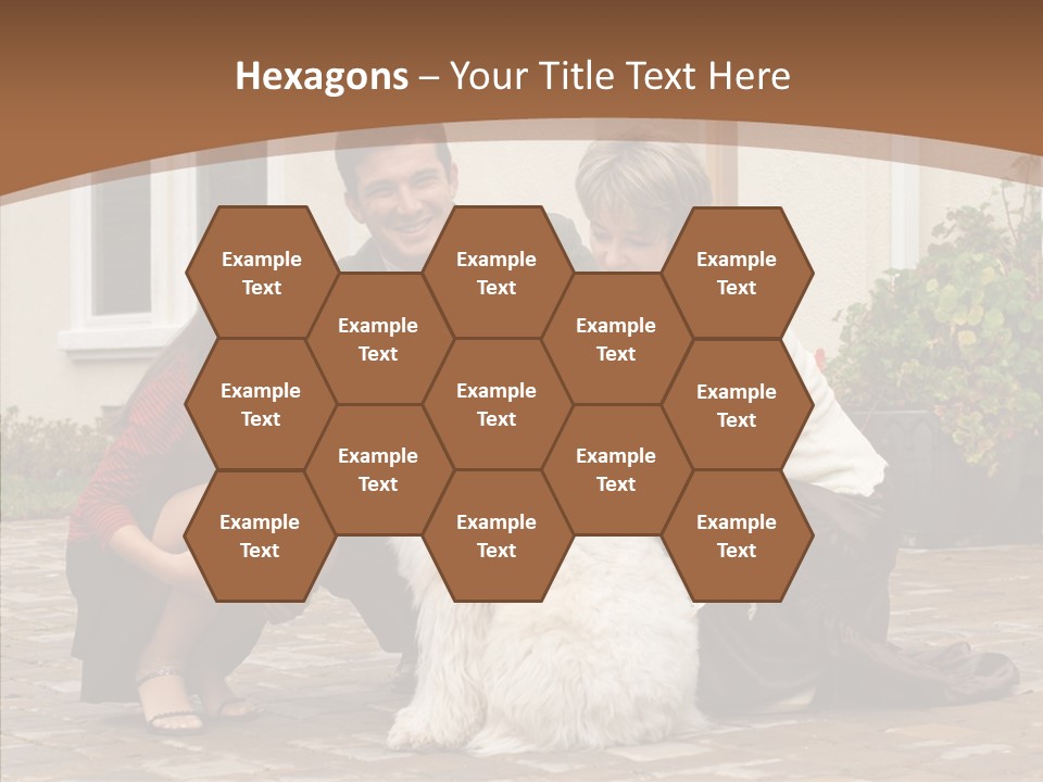 Beautiful Suburban Pets PowerPoint Template