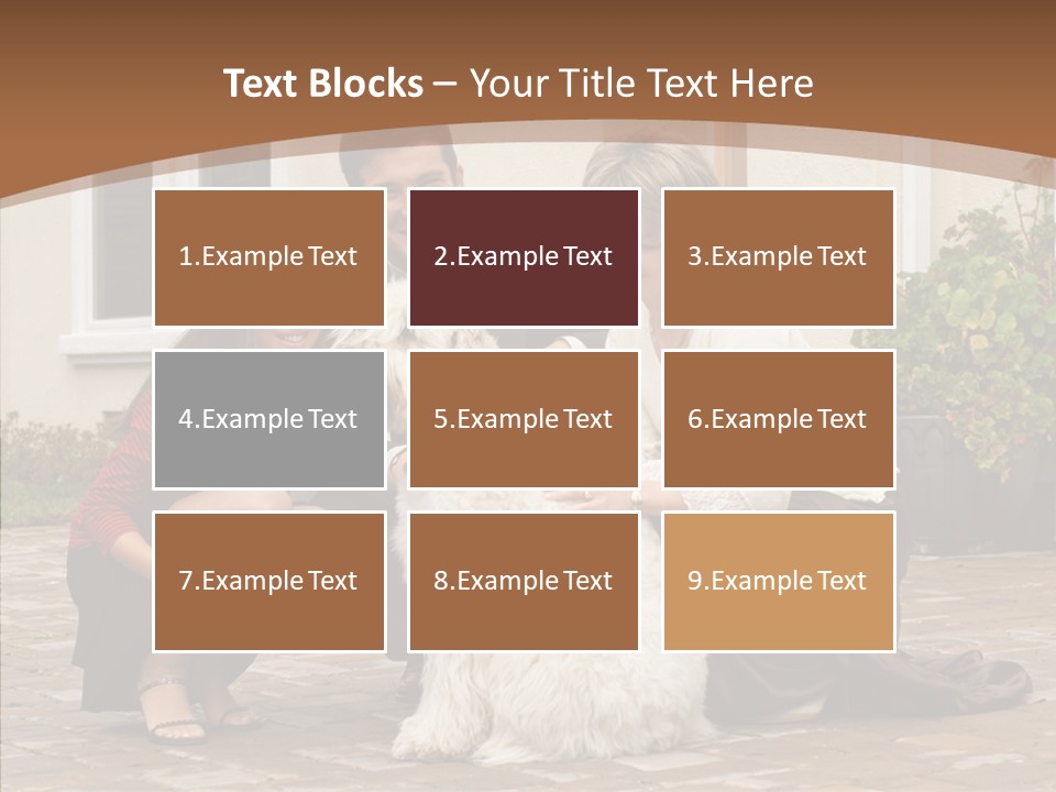 Beautiful Suburban Pets PowerPoint Template
