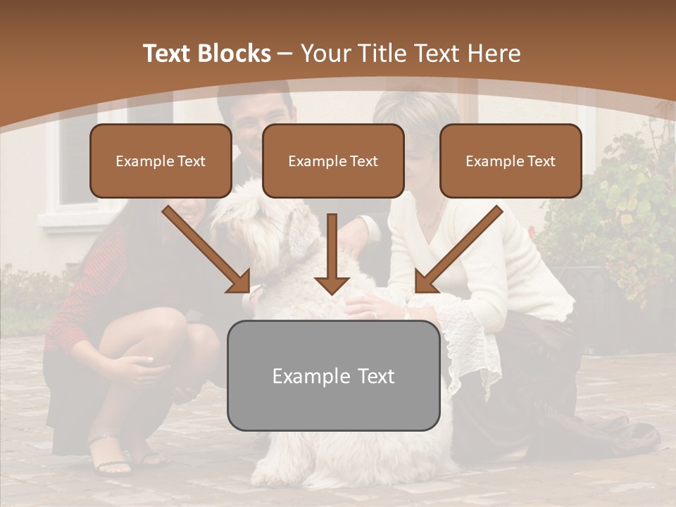 Beautiful Suburban Pets PowerPoint Template