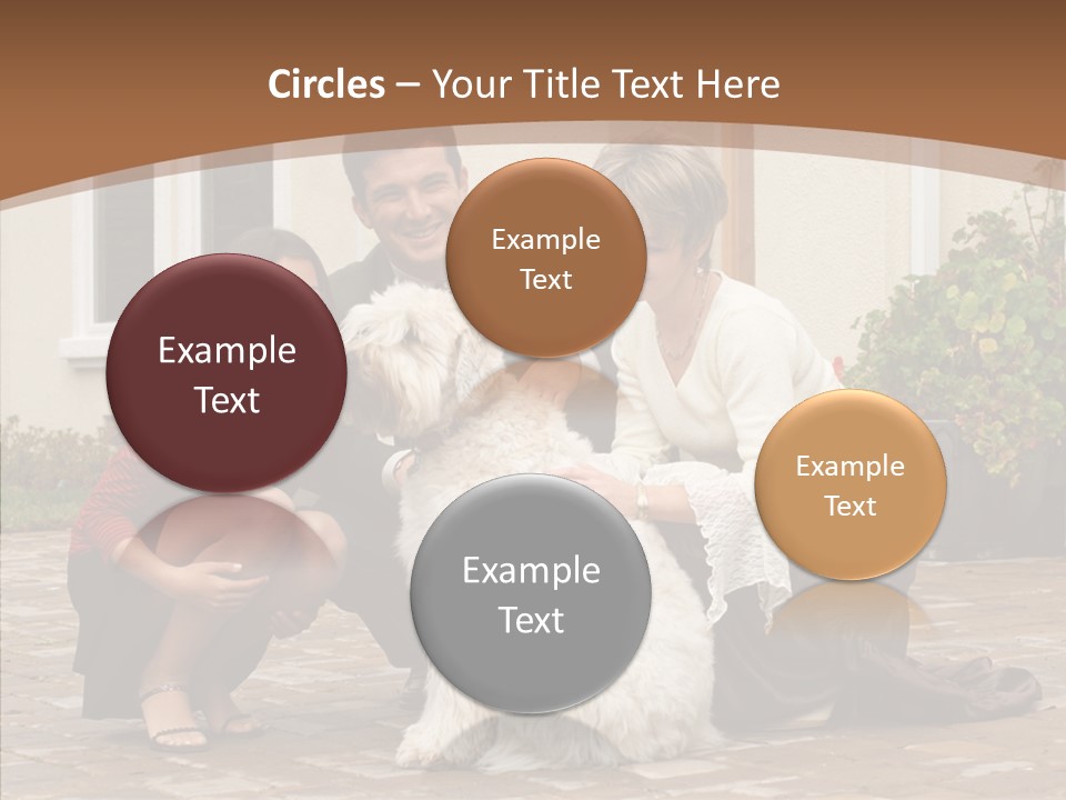 Beautiful Suburban Pets PowerPoint Template