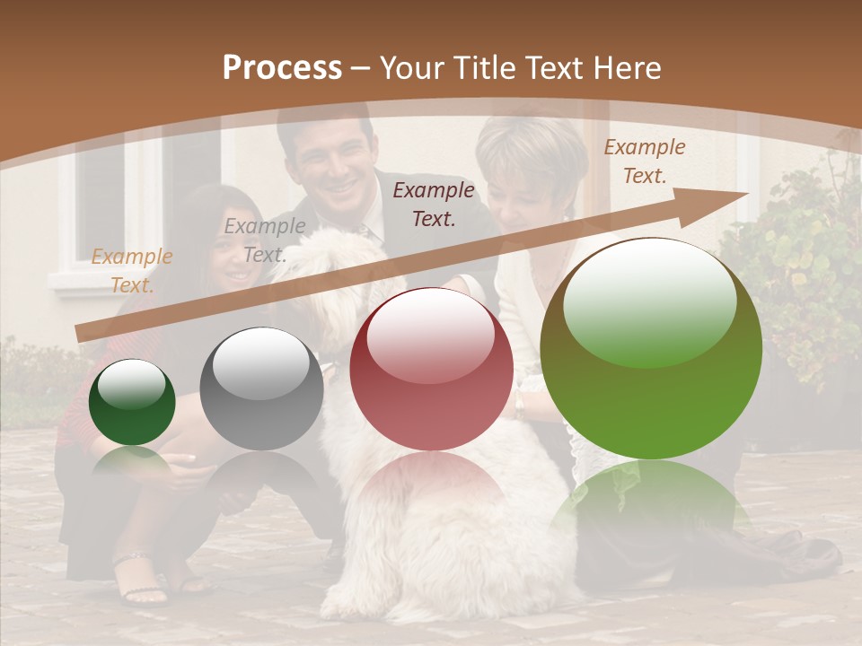 Beautiful Suburban Pets PowerPoint Template