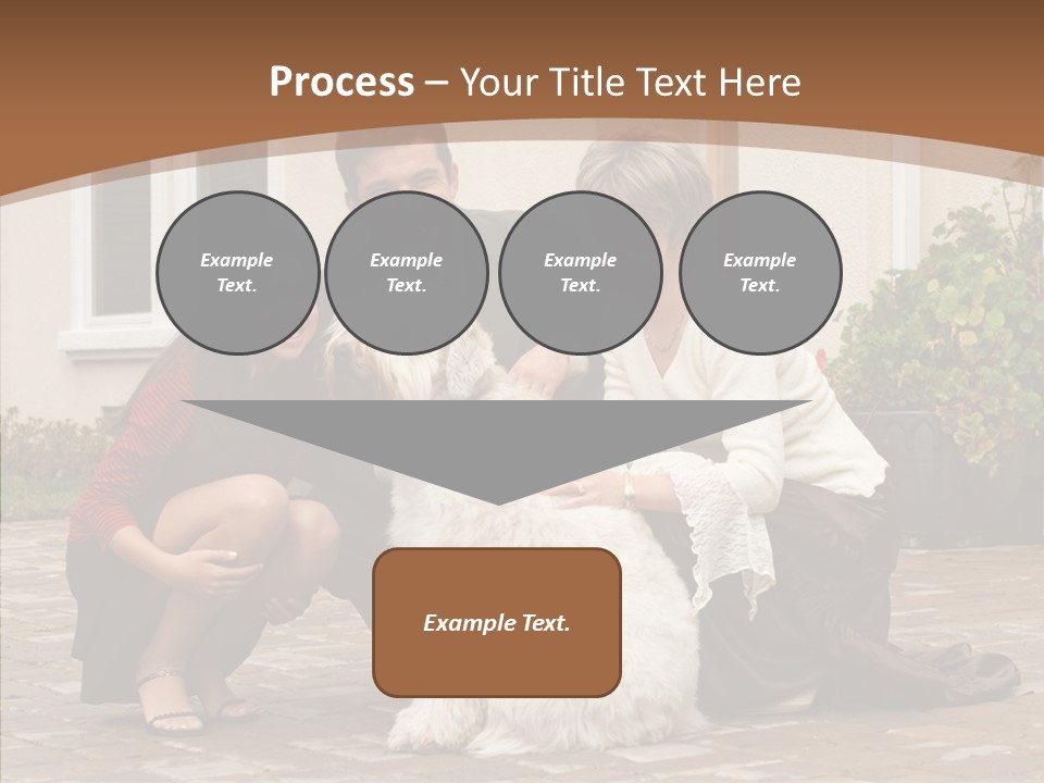 Beautiful Suburban Pets PowerPoint Template