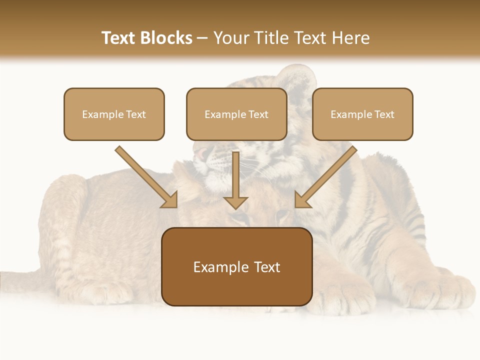 Undomesticated Creature Eye PowerPoint Template