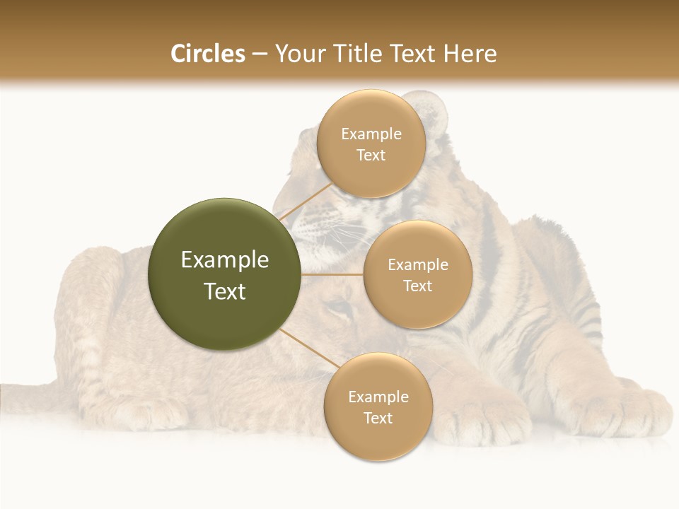 Undomesticated Creature Eye PowerPoint Template