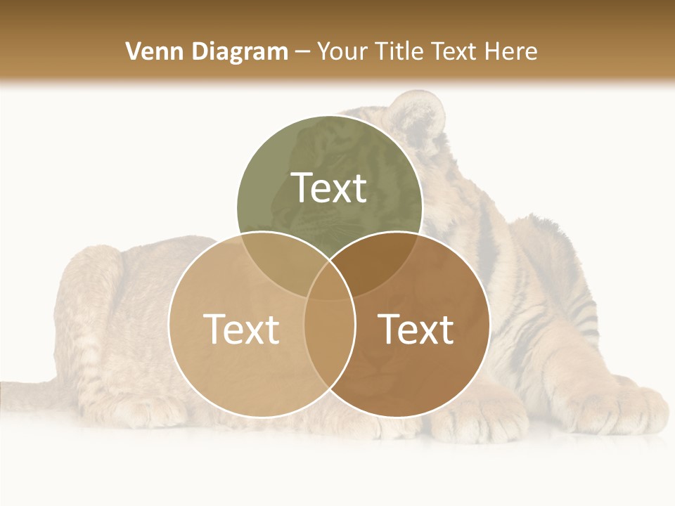 Undomesticated Creature Eye PowerPoint Template