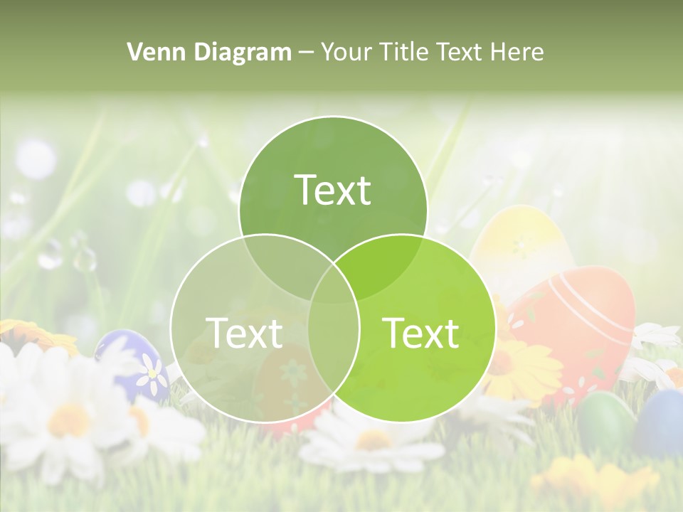 Card Eggs Season PowerPoint Template