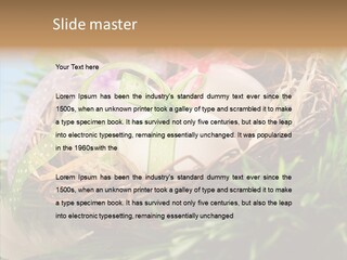 Fresh Closeup Traditional PowerPoint Template