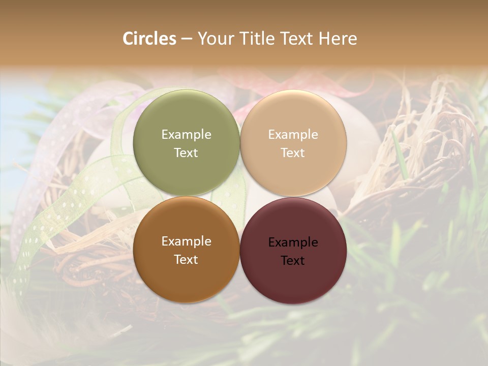 Fresh Closeup Traditional PowerPoint Template