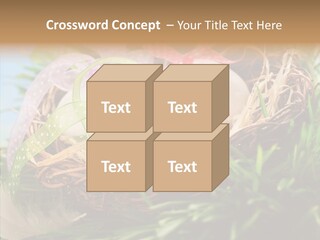 Fresh Closeup Traditional PowerPoint Template