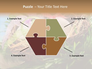 Fresh Closeup Traditional PowerPoint Template