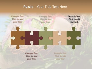 Fresh Closeup Traditional PowerPoint Template