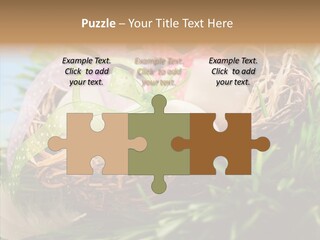 Fresh Closeup Traditional PowerPoint Template