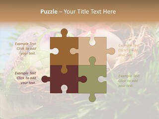 Fresh Closeup Traditional PowerPoint Template