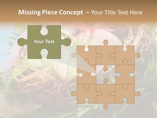 Fresh Closeup Traditional PowerPoint Template