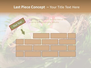 Fresh Closeup Traditional PowerPoint Template