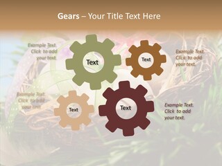 Fresh Closeup Traditional PowerPoint Template