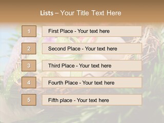 Fresh Closeup Traditional PowerPoint Template