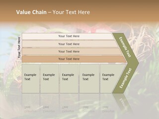 Fresh Closeup Traditional PowerPoint Template