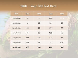 Fresh Closeup Traditional PowerPoint Template