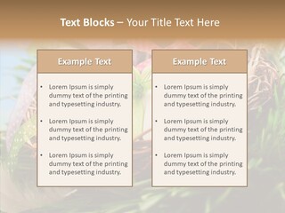 Fresh Closeup Traditional PowerPoint Template