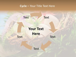 Fresh Closeup Traditional PowerPoint Template