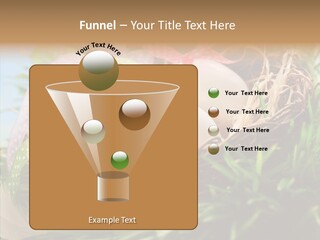 Fresh Closeup Traditional PowerPoint Template