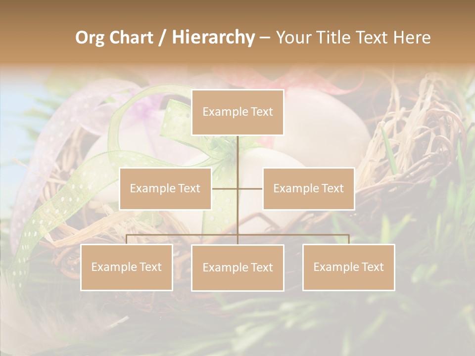 Fresh Closeup Traditional PowerPoint Template
