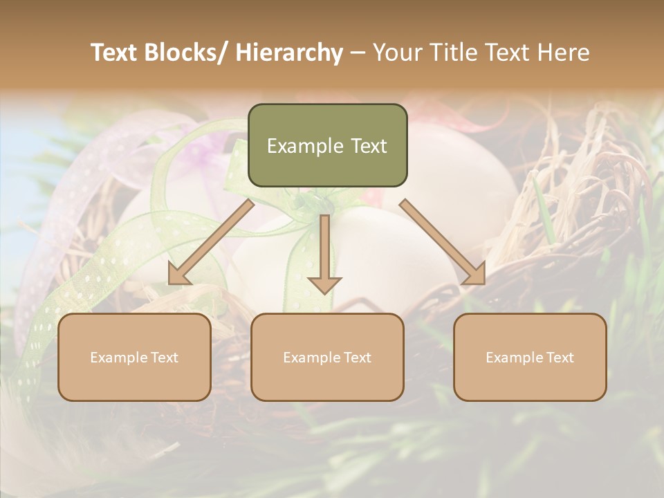Fresh Closeup Traditional PowerPoint Template