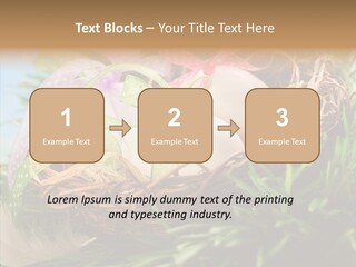 Fresh Closeup Traditional PowerPoint Template