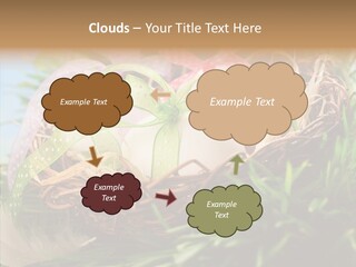 Fresh Closeup Traditional PowerPoint Template