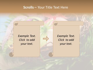 Fresh Closeup Traditional PowerPoint Template