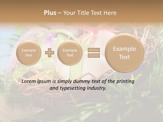 Fresh Closeup Traditional PowerPoint Template