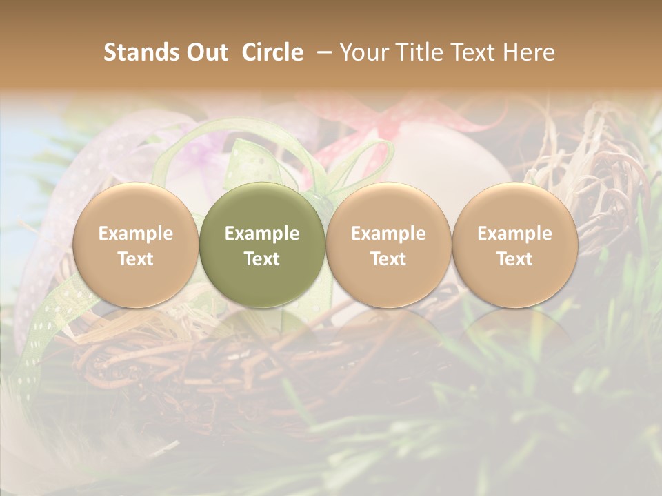 Fresh Closeup Traditional PowerPoint Template