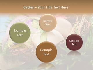 Fresh Closeup Traditional PowerPoint Template