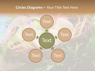 Fresh Closeup Traditional PowerPoint Template