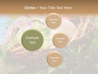 Fresh Closeup Traditional PowerPoint Template