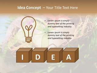 Fresh Closeup Traditional PowerPoint Template