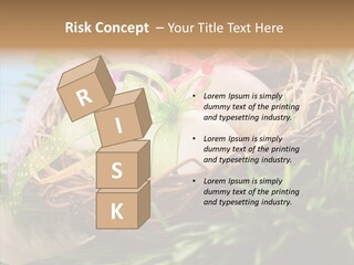 Fresh Closeup Traditional PowerPoint Template