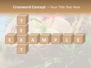 Fresh Closeup Traditional PowerPoint Template