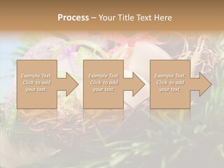 Fresh Closeup Traditional PowerPoint Template