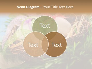 Fresh Closeup Traditional PowerPoint Template