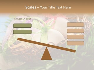 Fresh Closeup Traditional PowerPoint Template