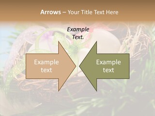 Fresh Closeup Traditional PowerPoint Template